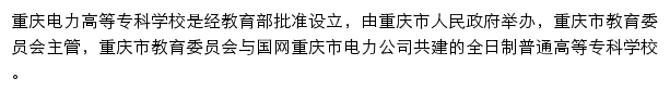 重庆电力高等专科学校办公系统网站详情