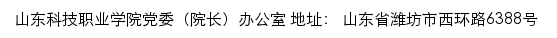 山东科技职业学院党委（院长）办公室网站详情