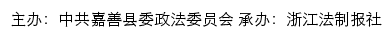 平安嘉善网网站详情