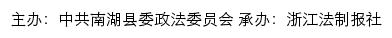 平安南湖网网站详情