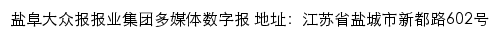 盐阜大众报报业集团多媒体数字报网站详情