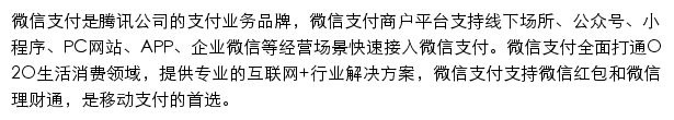 微信支付网站详情