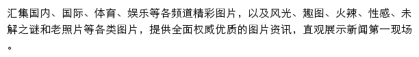 大公图片网站详情