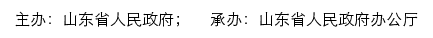 青岛市高新区政务服务网网站详情