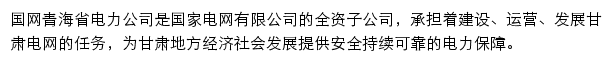 国网青海省电力有限公司网站详情