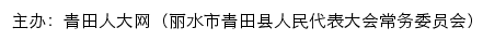 青田人大网（丽水市青田县人民代表大会常务委员会） old网站详情