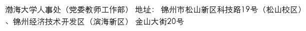 渤海大学人事处（党委教师工作部）网站详情