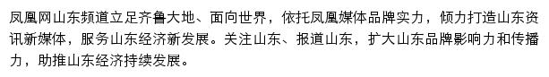 凤凰网山东频道网站详情