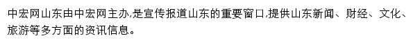 中宏网山东网站详情