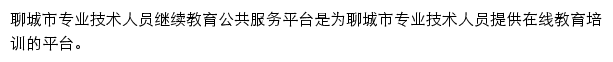 聊城市专业技术人员继续教育公共服务平台网站详情