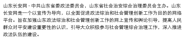 山东长安网网站详情