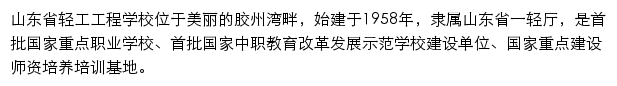 山东省轻工业学院网站详情