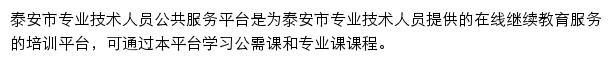 泰安市专业技术人员公共服务平台网站详情