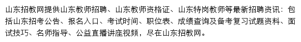 山东招教网网站详情