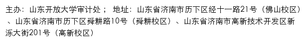 山东开放大学审计处网站详情