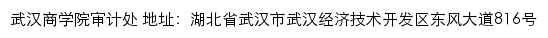 武汉商学院审计处网站详情