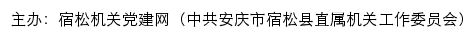 宿松县直机关党建网（中共安庆市宿松县直属机关工作委员会）网站详情