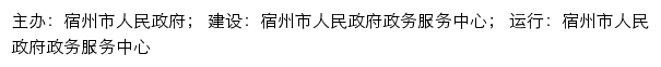 安徽政务服务网宿州分厅网站详情