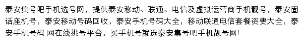 泰安集号吧网站详情