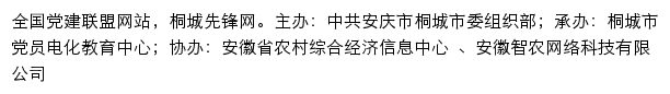 桐城先锋网（中共安庆市桐城市委组织部）网站详情