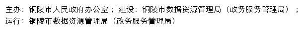 安徽政务服务网铜陵分厅网站详情