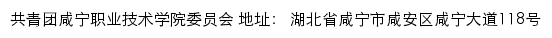 共青团咸宁职业技术学院委员会网站详情