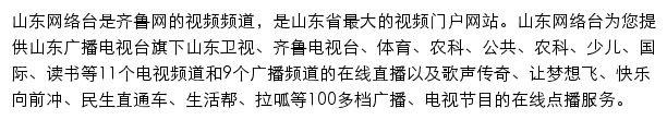 山东网络台（齐鲁网视频频道）网站详情