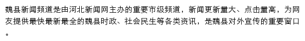 魏县新闻网网站详情