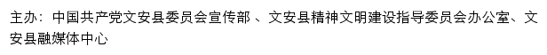 文安文明网（文安县精神文明建设指导委员会办公室）网站详情