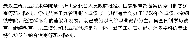 武汉工程职业技术学院网站详情