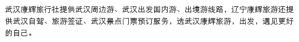 武汉旅游网网站详情