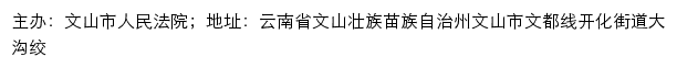 文山市人民法院司法信息网网站详情