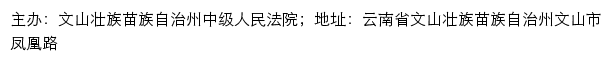 文山州中级人民法院司法信息网网站详情