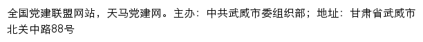 天马党建网（中共武威市委组织部）网站详情