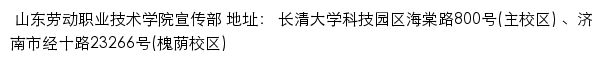 山东劳动职业技术学院宣传部网站详情