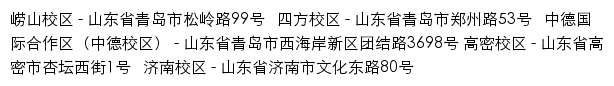 青岛科技大学新闻网网站详情