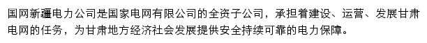 国网新疆电力有限公司网站详情