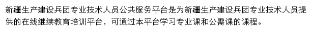 新疆生产建设兵团专业技术人员继续教育公共服务平台网站详情