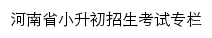 河南省小升初招生考试专栏网站详情