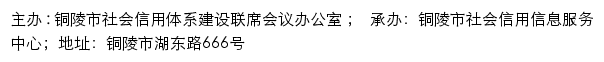 信用铜陵网站详情