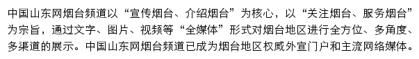 中国山东网烟台频道网站详情