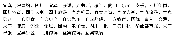 四川在线宜宾频道网站详情