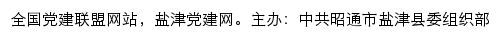 盐津党建网（中共昭通市盐津县委组织部）网站详情