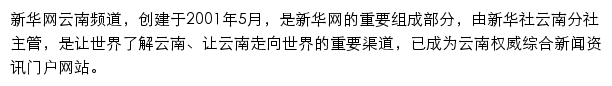 新华网云南频道网站详情