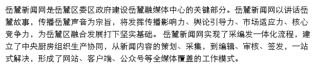 岳麓新闻网网站详情