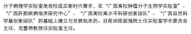 广西肝胆疾病分子病理学重点实验室（右江民族医学院）网站详情