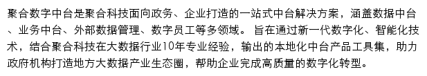 聚合数字中台网站详情