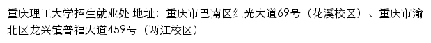 重庆理工大学本科招生就业信息网网站详情