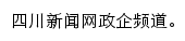 四川新闻网政企频道网站详情