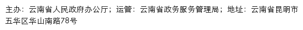 云南政务服务网网站详情